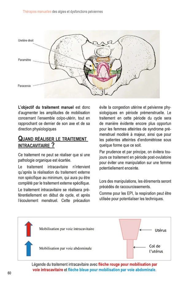 Page intérieure du livre : planche anatomique légendée du pelvis et schéma des voies de mobilisation, accompagnés de leur texte